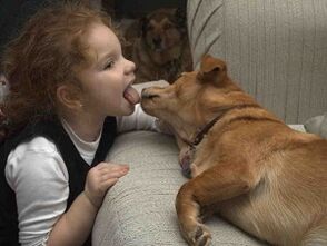 Un bambino bacia un cane e viene infettato dai parassiti
