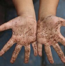 Le mani sporche come causa di vermi in un bambino
